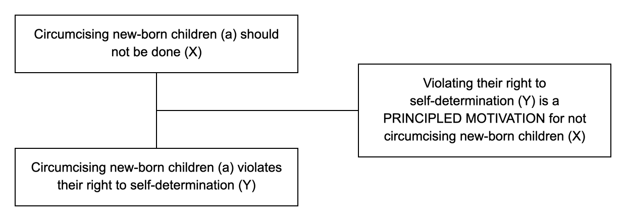 Triadic structure of the argument from principle example: conclusion, premise and lever